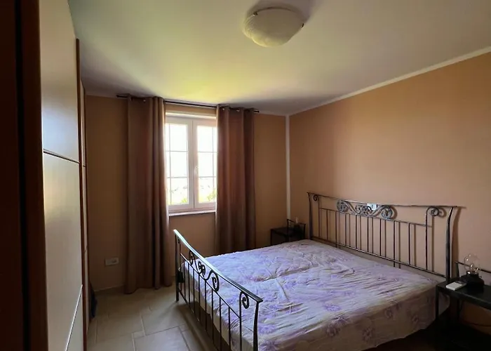 New Big Butterfly - 2024 - Free Parking - Special Offer * Koper